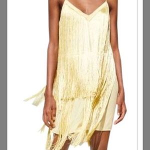 Zara Yellow Fringe Dress